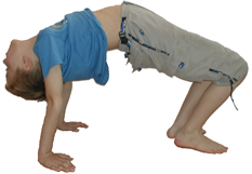 Software user assistance and technical documentation bridge the knowledge gap
